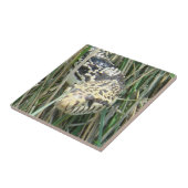 R4 Bull Snake in het graskopschot Tegeltje (Zijkant)