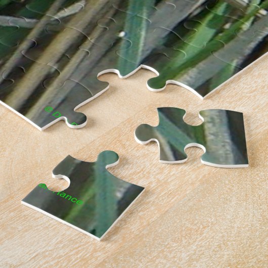 R4 Bull Snake Legpuzzel (Zijkant)