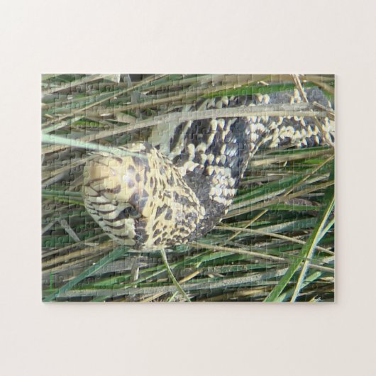 R4 Bull Snake Legpuzzel (Horizontaal)