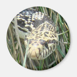 R4 Bull Snake Magneet