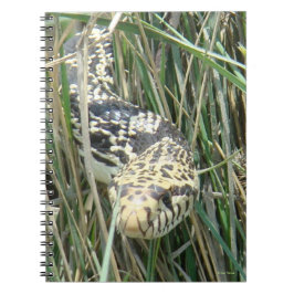 R4 Bull Snake Notitieboek