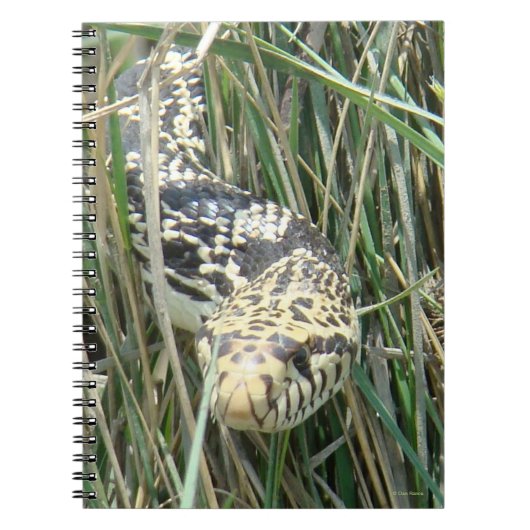 R4 Bull Snake Notitieboek (Voorkant)