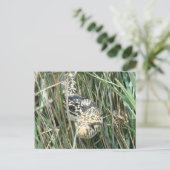 R4 Bullsnake in gras Briefkaart (Staand voorkant)