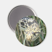 R4 Stierenslang Kopschot Magneet (Voorkant / Achterkant)