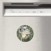 R4 Stierenslang Kopschot Magneet (Insitu (Vaatwasser))