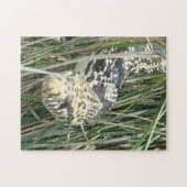 R4 Stierslang Legpuzzel (Horizontaal)