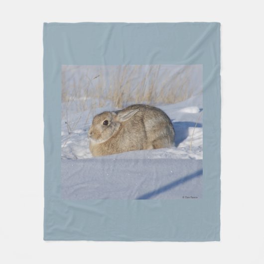 R5 Cottontail Konijn in Sneeuw Fleece Deken (Voorkant)