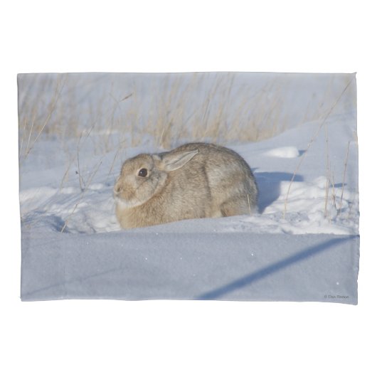 R5 Cottontail Konijn in Sneeuw Kussensloop (Voorkant)