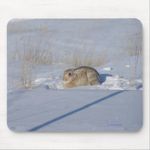 R5 Cottontail Konijn in Sneeuw Muismat