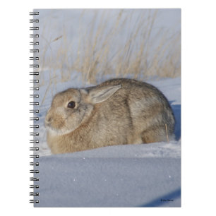 R5 Cottontail Konijn in Sneeuw Notitieboek