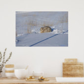 R5 Cottontail Konijn in Sneeuw Poster (Keuken)