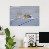 R5 Cottontail Konijn in Sneeuw Poster (Thuiskantoor)