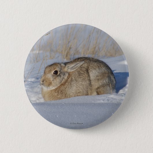 R5 Cottontail Konijn in Sneeuw Ronde Button 5,7 Cm (Voorkant)
