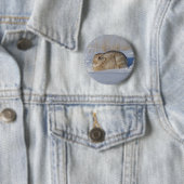 R5 Cottontail Konijn in Sneeuw Ronde Button 5,7 Cm (In situ)