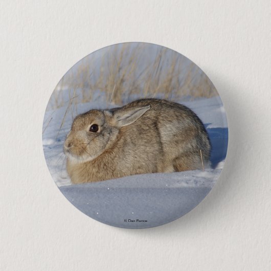 R5 Cottontail Konijn in Sneeuw Ronde Button 5,7 Cm (Voorkant)