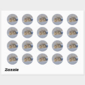 R5 Cottontail Konijn Ronde Sticker (Vel)