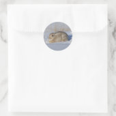 R5 Cottontail Konijn Ronde Sticker (Tas)