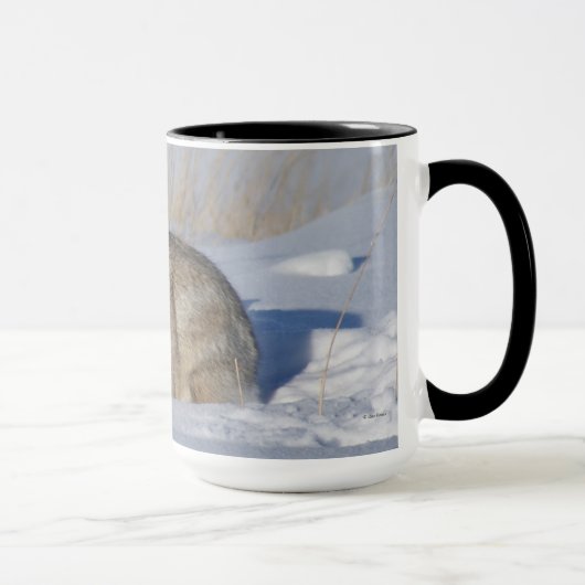 R5 Cottontailkonijn in de sneeuw Mok (Rechts)