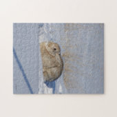 R5 Katoen konijn in sneeuw Legpuzzel (Horizontaal)