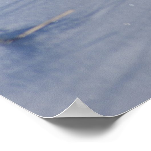 R5 Katoen konijn in sneeuw Poster (Hoek)