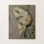 R6 Prairie Ratelslang Legpuzzel (Verticaal)