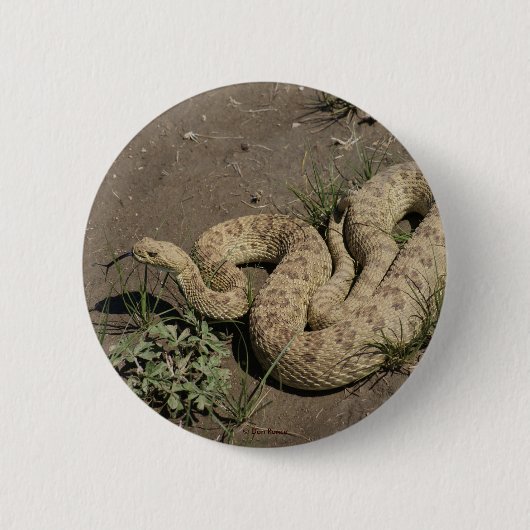 R6 Prairie Ratelslang Ronde Button 5,7 Cm (Voorkant)