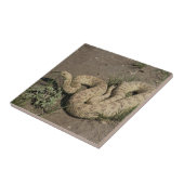 R6 Prairie Ratelslang Tegeltje (Zijkant)