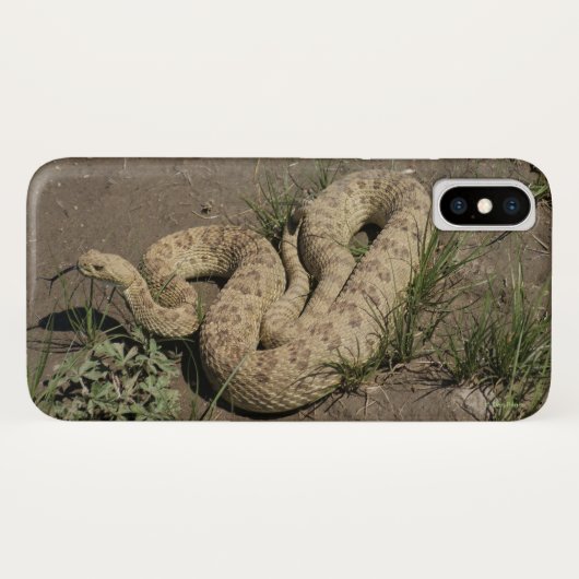 R6 Prairie Rattleslang Case-Mate iPhone Case (Achterkant (horizontaal))
