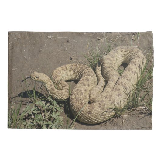 R6 Prairie Rattlesnake Kussensloop (Achterkant)
