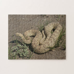 R6 Prairie Rattlesnake Legpuzzel
