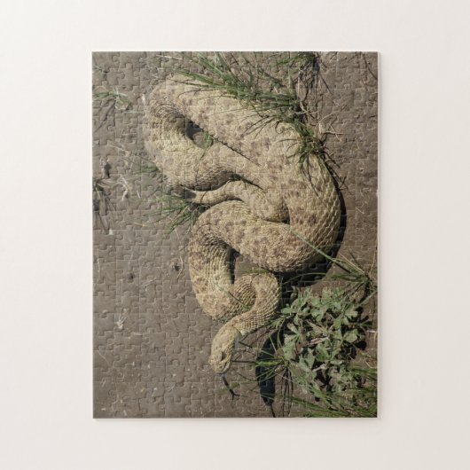 R6 Prairie Rattlesnake Legpuzzel (Verticaal)