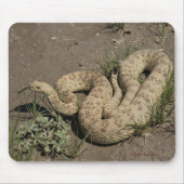 R6 Prairie Rattlesnake Muismat (Voorkant)
