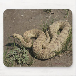 R6 Prairie Rattlesnake Muismat
