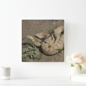 R6 Prairie Rattlesnake Vierkante Klok (Huis)