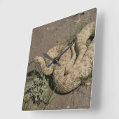 R6 Prairie Rattlesnake Vierkante Klok (Hoek)