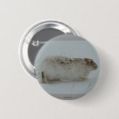 R7 Sneeuwhaas Klaar om te Lopen Ronde Button 5,7 Cm (Voorkant /achterkant)