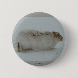R7 Sneeuwhaas Klaar om te Lopen Ronde Button 5,7 Cm