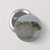 R7 Sneeuwschoehaas Klaar om te Lopen Ronde Button 5,7 Cm (Voorkant /achterkant)