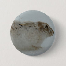 R7 Sneeuwschoehaas Klaar om te Lopen