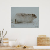 R7 Sneeuwschoenhazen klaar om te rennen Poster (Keuken)