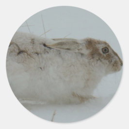 R7 Sneeuwschoenhazen klaar om te rennen Ronde Sticker