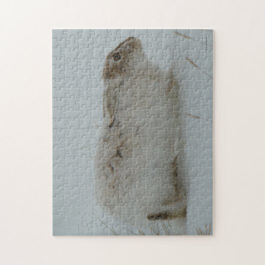 R7 Snowshoe Hare Ready to Run Legpuzzel (Verticaal)