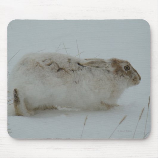 R7 Snowshoe Hare Ready to Run Muismat (Voorkant)