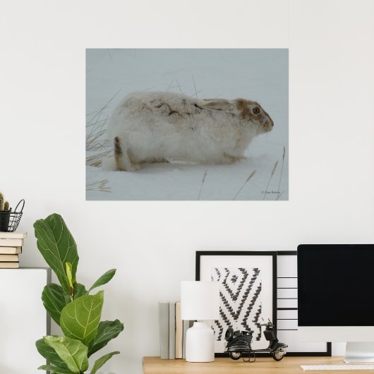 R7 Snowshoe Hare Ready to Run Poster (Thuiskantoor)