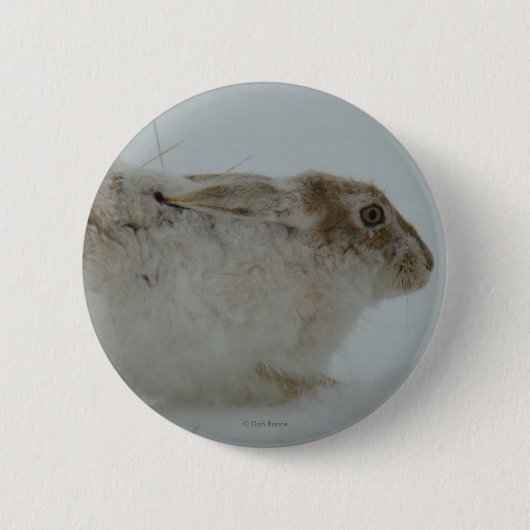 R7 Snowshoe Hare Ready to Run Ronde Button 5,7 Cm (Voorkant)