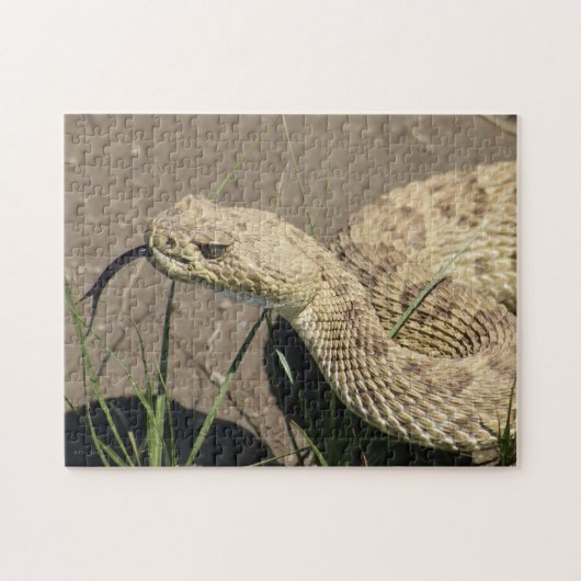 R8 Prairie Ratelslang Kop Schot Legpuzzel (Horizontaal)