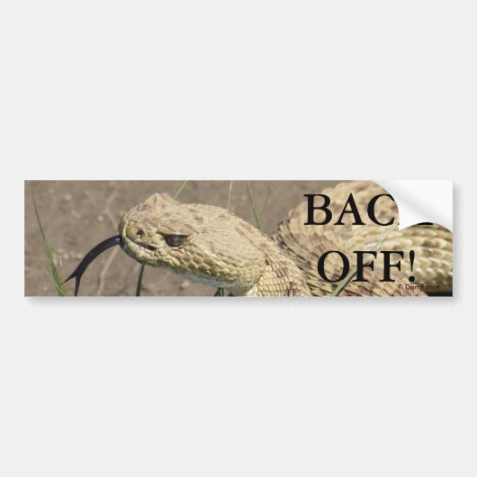 R8 Prairie Rattlesnake Bumpersticker (Voorkant)