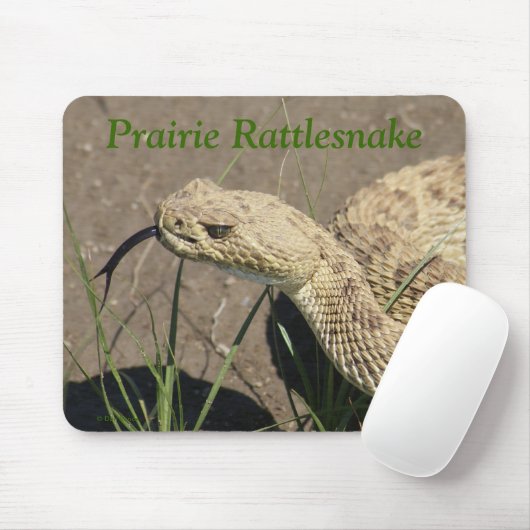 R8 Prairie Rattlesnake Head Muismat (Met muis)