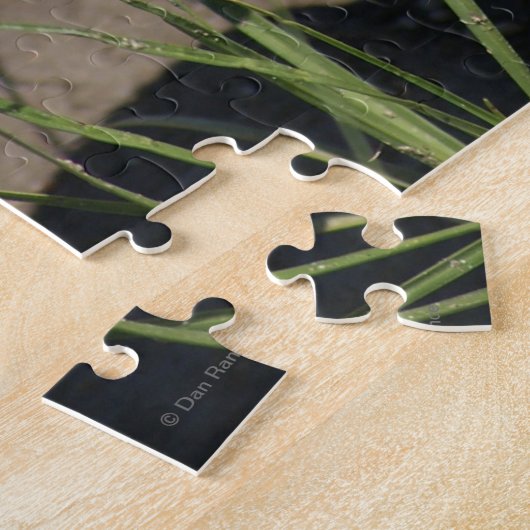 R8 Prairie Rattlesnake Head Shot Legpuzzel (Zijkant)