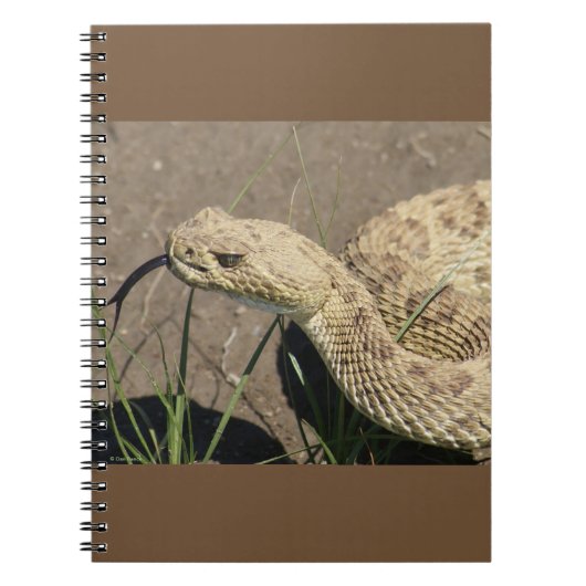 R8 Prairie Rattlesnake Head Shot Notitieboek (Voorkant)
